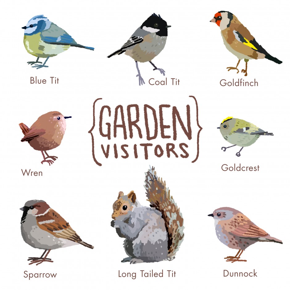 Garden-Visitors